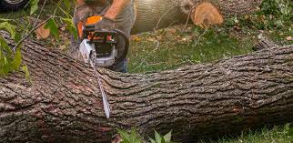 Landscape Design and Installation in Whitney Point, NY